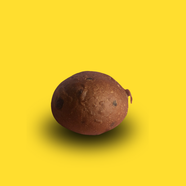 Vegan Belgium Dark Chocolate Sourdough Bun (6pcs)-Fresh Bread-YookyBites