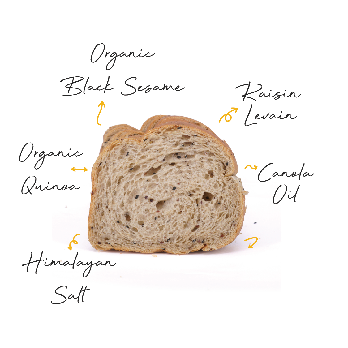 Raisin Levain Quinoa Sourdough Toast